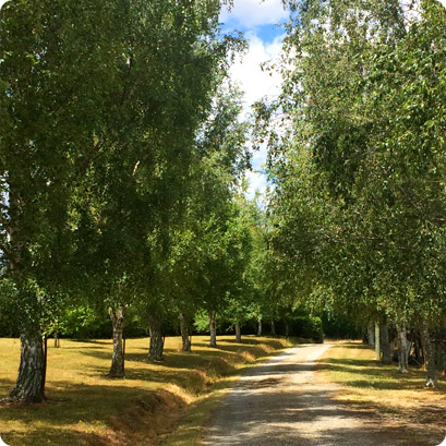 Cottage Accommodation in Nelson New Zealand